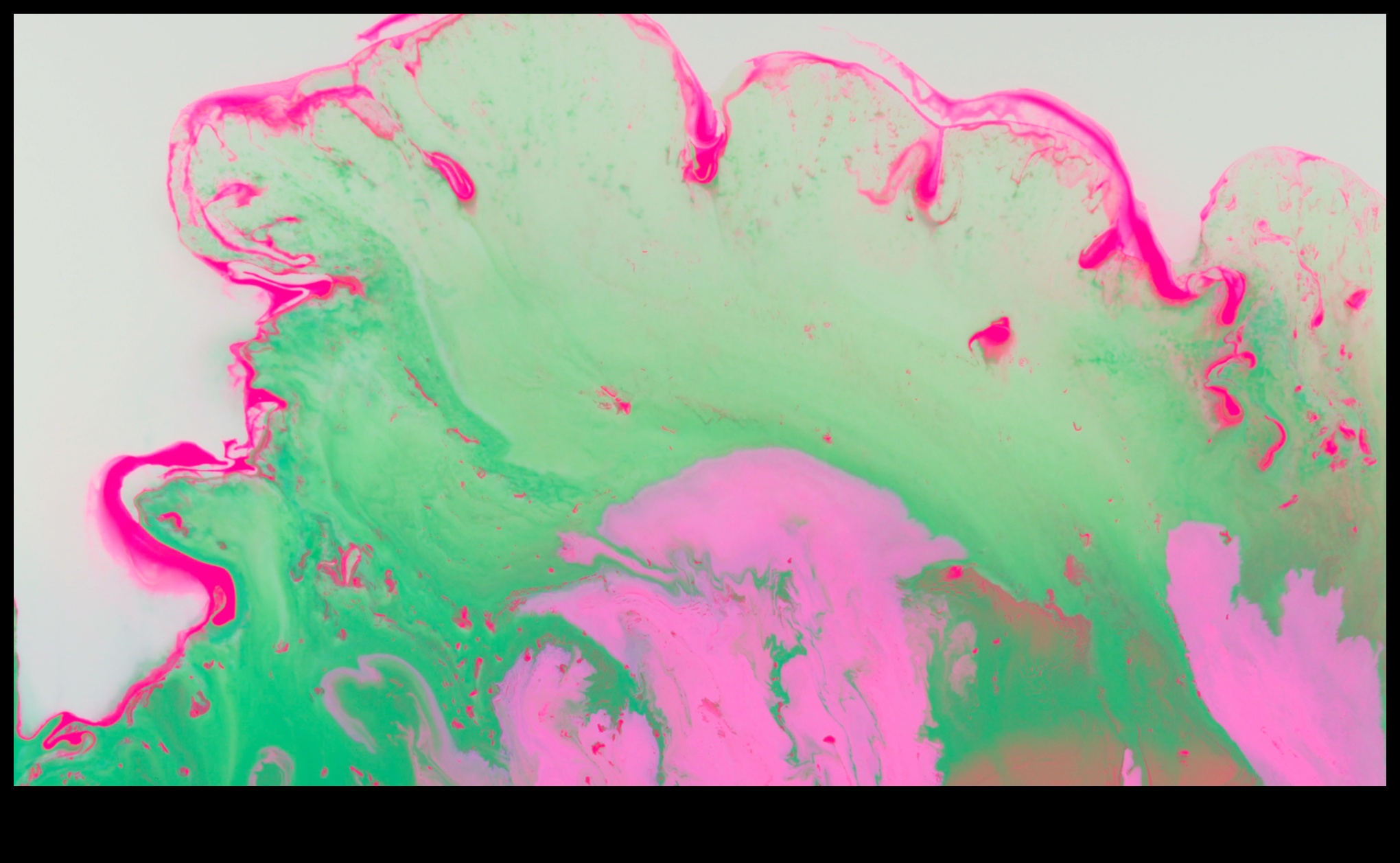 Brush and Beyond: Impingerea limitelor artei ilustrative