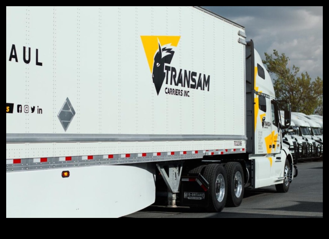 Camioane de marfă personalizate personalizate pentru stil și funcționalitate 5 Marfă personalizată: camioane personalizate pentru stil și funcționalitate