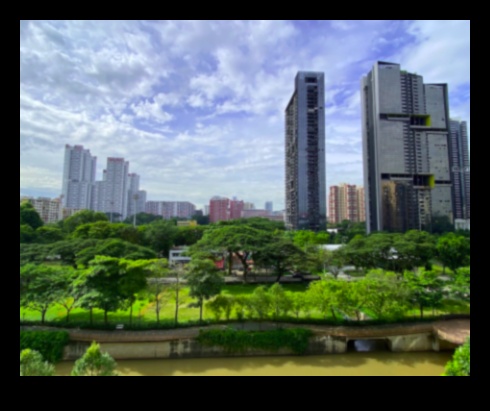 Transport peisaj urban: navigarea prin jungla urbană cu precizie în vehicule comerciale