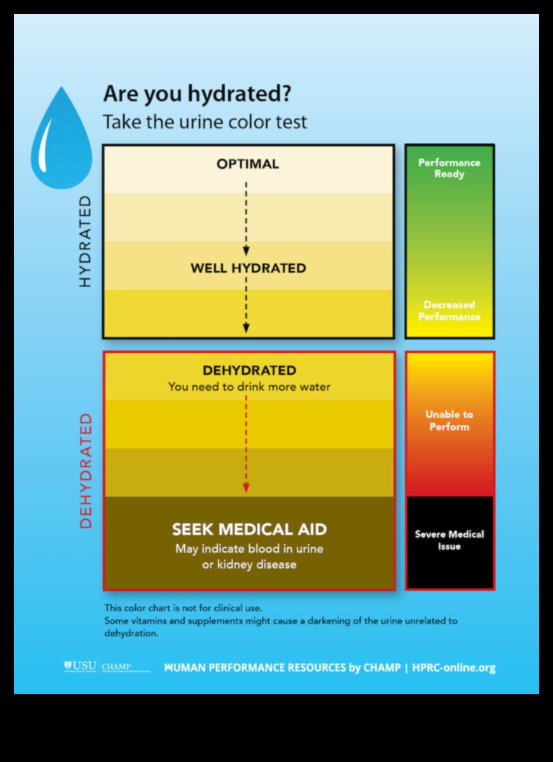 Spectrul de hidratare Un ghid vizual pentru bunăstarea ta personală 3 Spectrul de hidratare: explorarea culorilor bunăstării