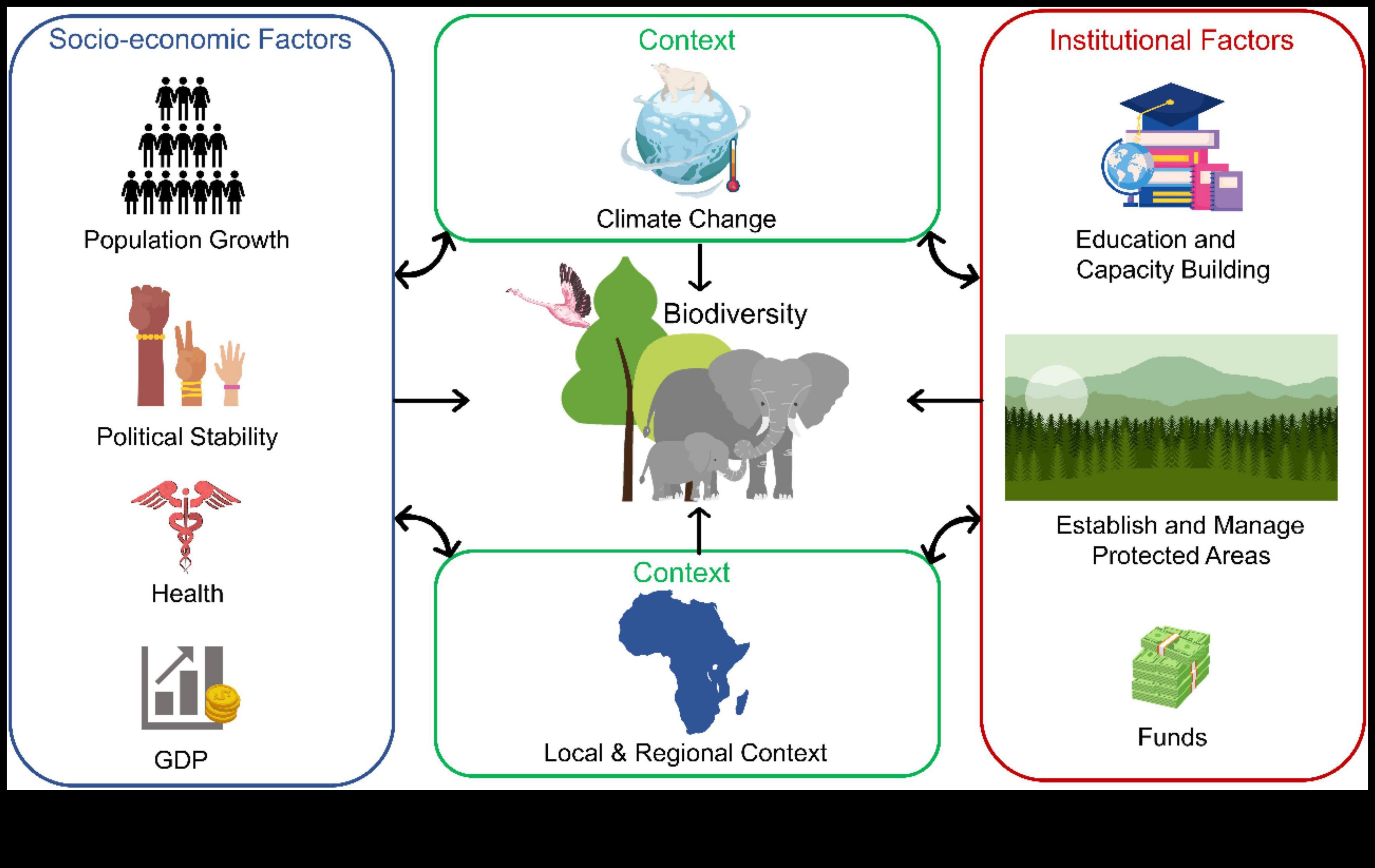 Cum influențează zonele climatice biodiversitatea peisajelor?