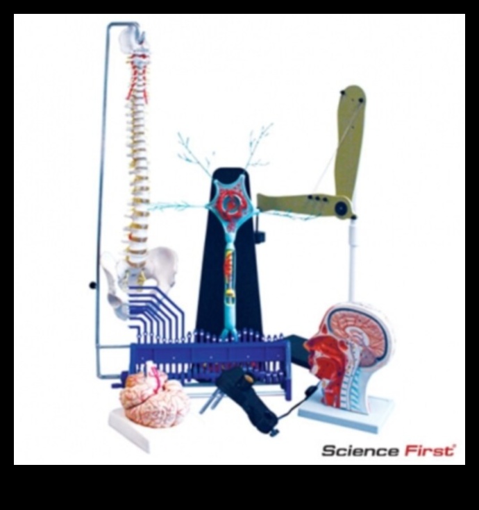 Armonia chimică: rolul biochimiei nutriționale în sănătate