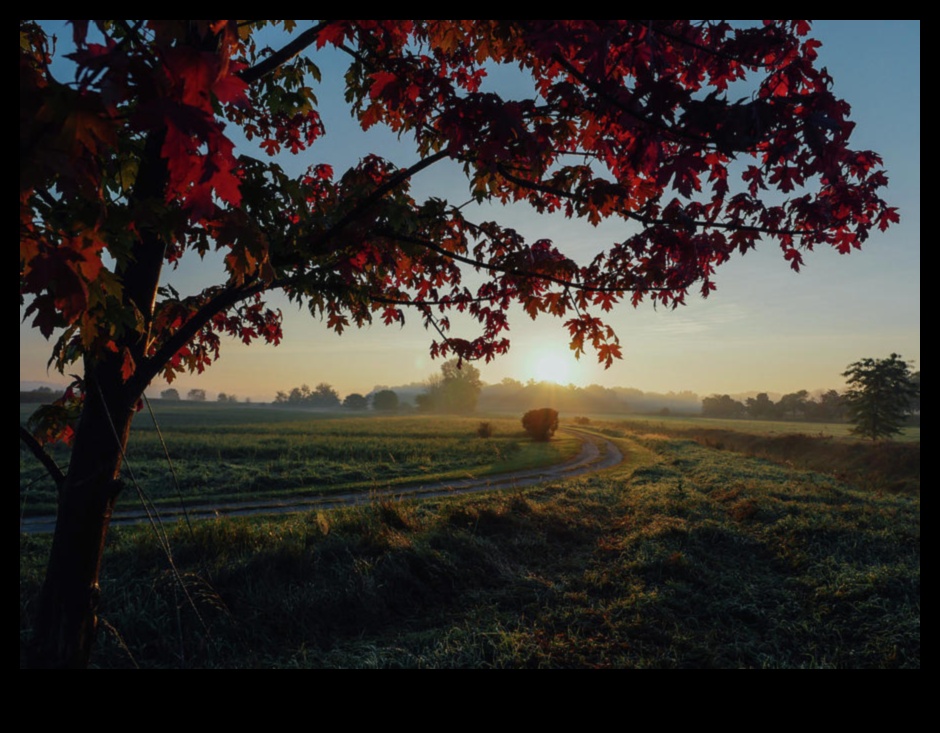Rural Rhapsody III: Capturând din nou esența liniștii rurale