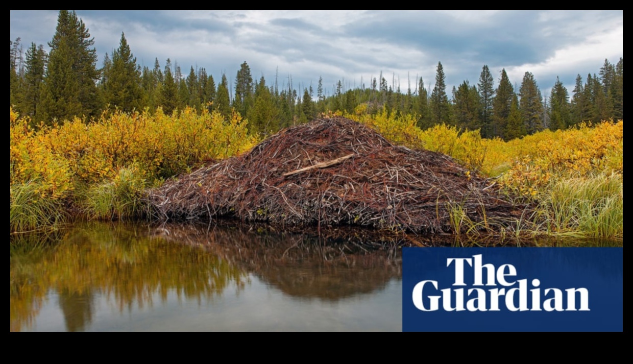 Care este semnificația faunei sălbatice în peisajele naturale?