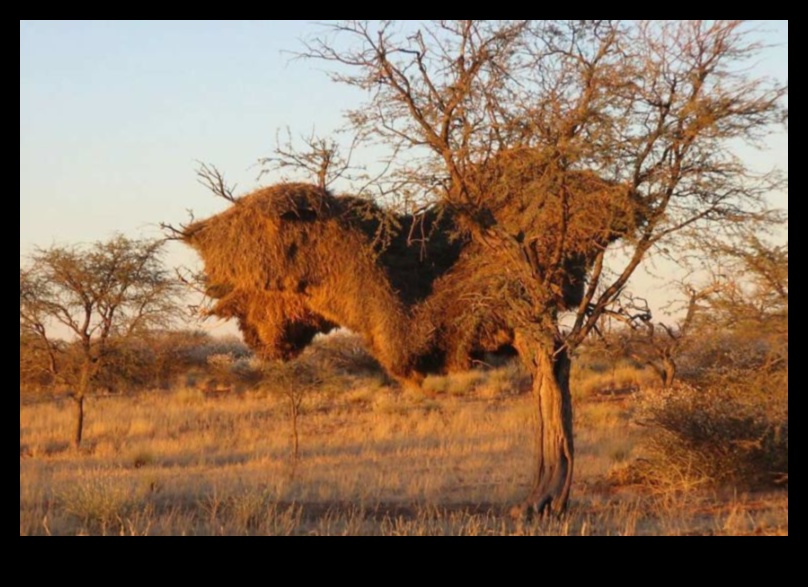 Care este semnificația faunei sălbatice în peisajele naturale?