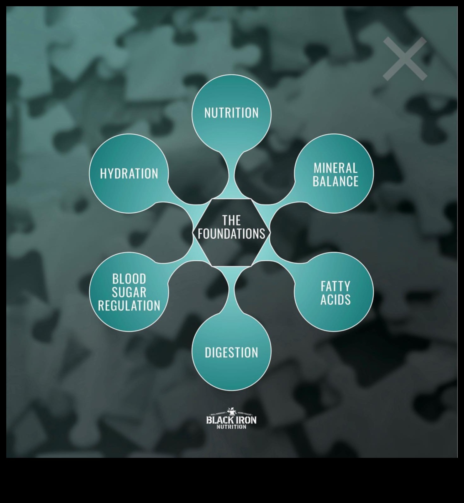 Nutriție 360: O abordare cuprinzătoare a sănătății întregului corp