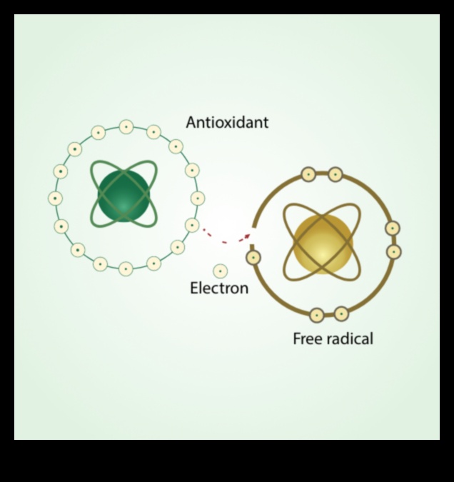 ABC-ul excelenței antioxidante luptători cu radicali liberi 3 Luptători cu radicali liberi: ABC-ul excelenței antioxidante