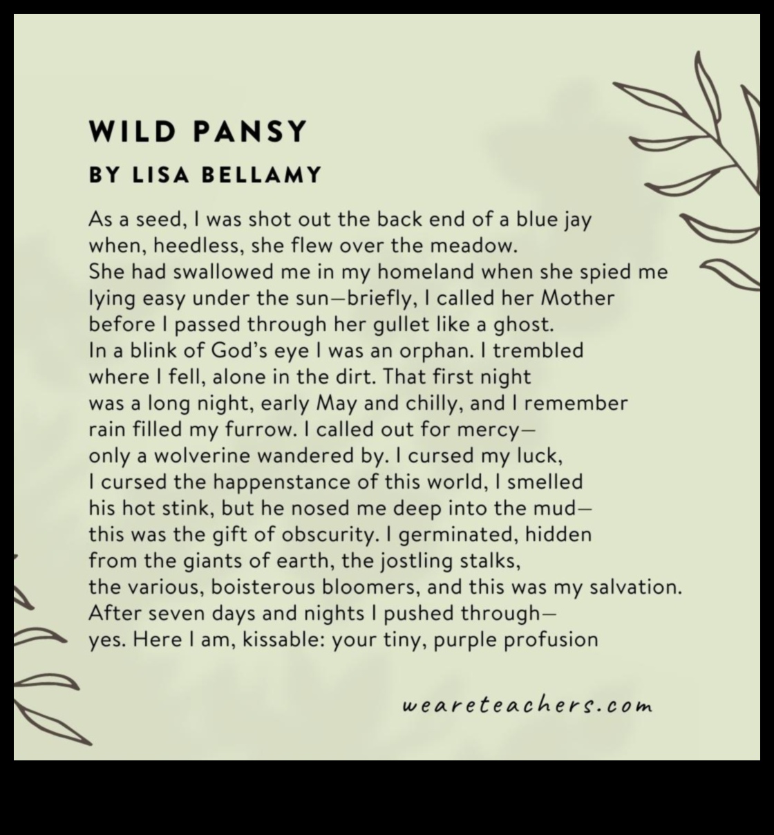 Peisajul poeziei naturii în versetul 4 Cum inspiră și influențează peisajele literatura și poezia?