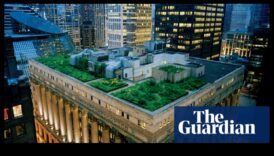 Cum contribuie peisajele la atractivitatea vizuală a grădinilor urbane de pe acoperiș?