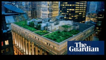 Cum contribuie peisajele la atractivitatea vizuală a grădinilor urbane de pe acoperiș?