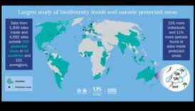 Arii naturale protejate: Puncte fierbinți pentru conservarea biodiversității