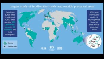 Arii naturale protejate: Puncte fierbinți pentru conservarea biodiversității