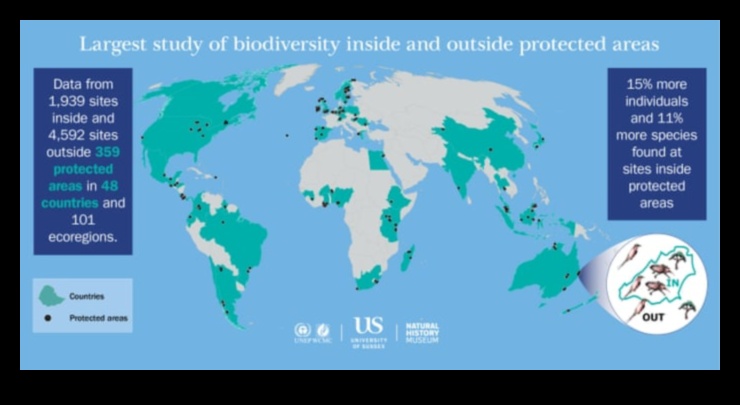 Arii naturale protejate: Puncte fierbinți pentru conservarea biodiversității