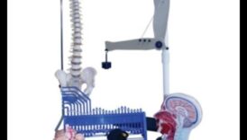 Armonia chimică: rolul biochimiei nutriționale în sănătate