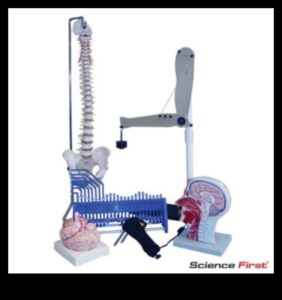 Armonia chimică: rolul biochimiei nutriționale în sănătate