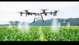 Câmpuri din belșug: terenuri agricole și câmpuri de cultură explorate