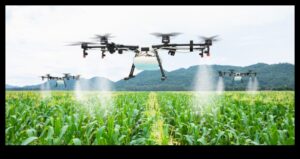 Câmpuri din belșug: terenuri agricole și câmpuri de cultură explorate