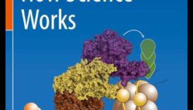 De la gene la gourmet: o explorare culinară a nutrigenomicei