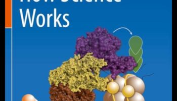 De la gene la gourmet: o explorare culinară a nutrigenomicei