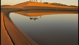 Desert Dreamscape: Dezvăluirea frumuseții peisajelor aride