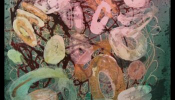 Frumusețea preciziei: crearea artei științifice și tehnice