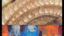 Imagini texturate: crearea unui interes vizual cu detalii tactile