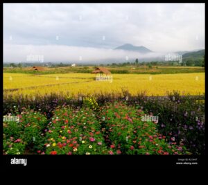 Rural Rhapsody III: Capturând din nou esența liniștii rurale