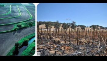 De ce anumite peisaje sunt mai predispuse la eroziunea solului din cauza activităților umane?