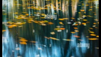 Pondering Reflections II: Lacuri și iazuri în diferite dispoziții