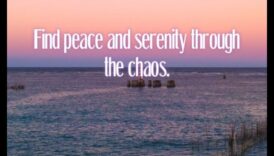 Perspective senine: peisaje calme și liniștite în atenție