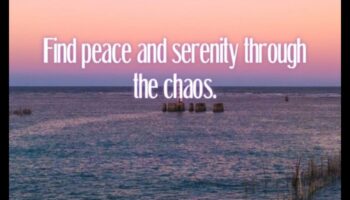 Perspective senine: peisaje calme și liniștite în atenție