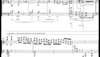 Simfonii de peisaj urban: cadența muzicală a vieții de zi cu zi în transportul public