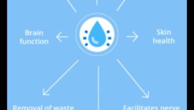 Spectrul de hidratare Un povatuitor vizual supra bunăstarea ta personală 4 Spectrul de hidratare: explorarea culorilor bunăstării