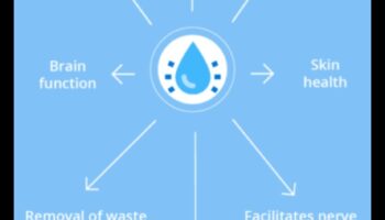 Spectrul de hidratare: explorarea culorilor bunăstării