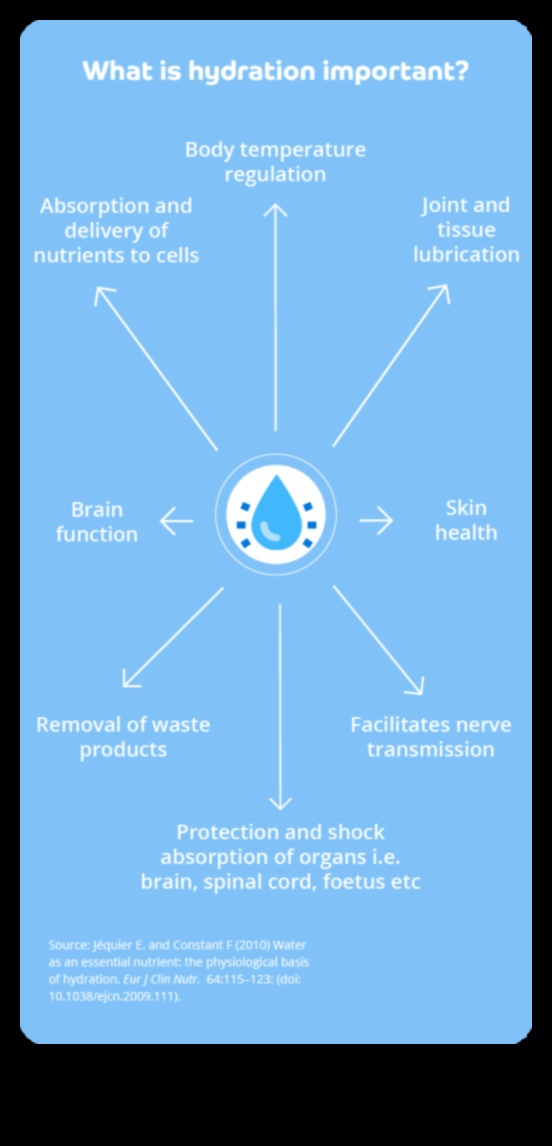 Spectrul de hidratare Un ghid vizual pentru bunăstarea ta personală 1 Spectrul de hidratare: explorarea culorilor bunăstării