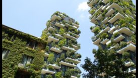 Cum răspund peisajele suburbane nevoii de viață durabilă?