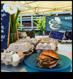 Refugiul Naturii: Rezervațiile ecologice în atenție