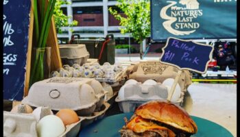 Refugiul Naturii: Rezervațiile ecologice în atenție