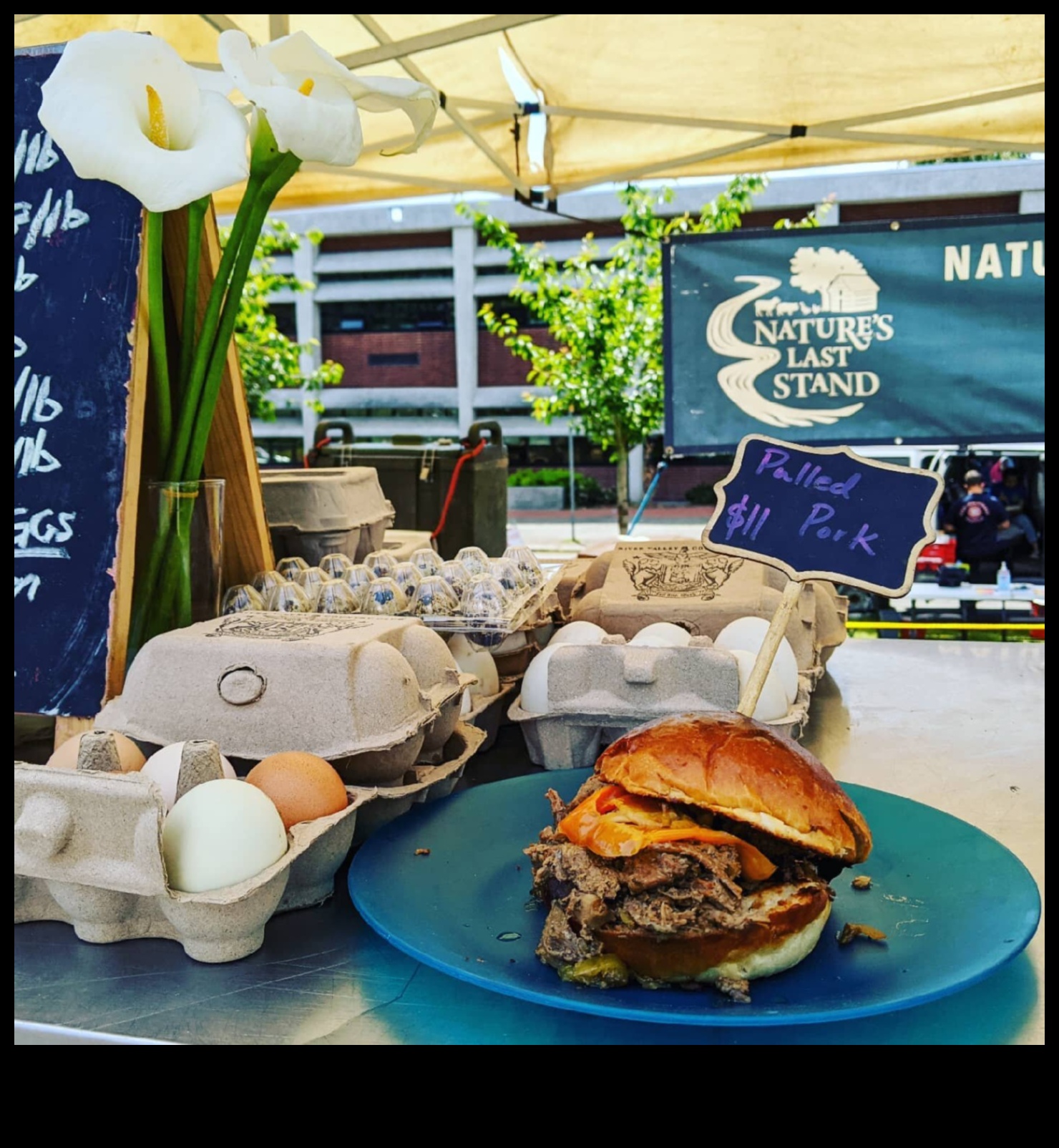 Refugiul Naturii: Rezervațiile ecologice în atenție