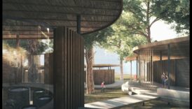 Care este semnificația faunei sălbatice în peisajele naturale?