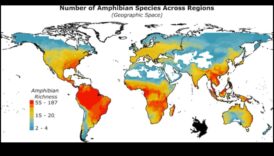 Cum influențează zonele climatice biodiversitatea peisajelor?