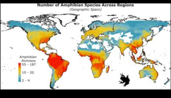 Cum influențează zonele climatice biodiversitatea peisajelor?